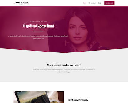 Náhľad šablóny Consultant