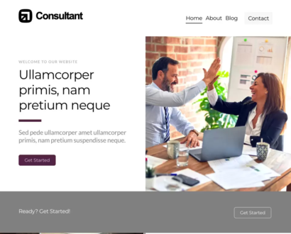 Náhľad šablóny Consultant 1