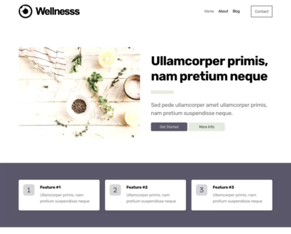 Náhľad šablóny Wellnesss 4